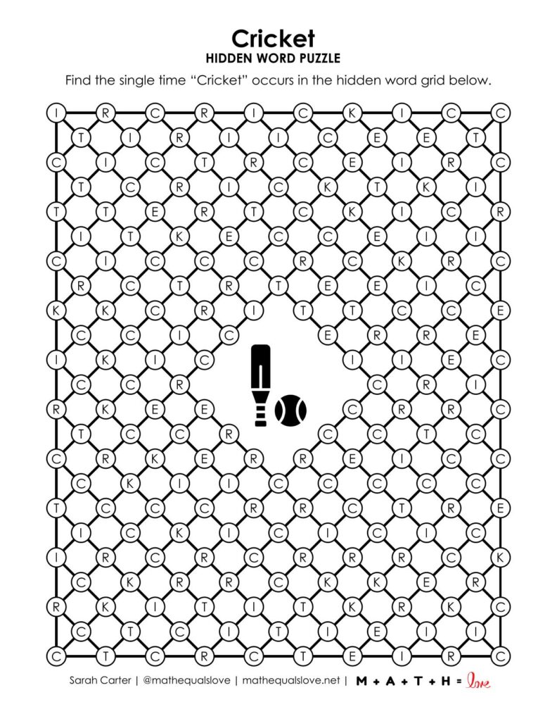 cricket hidden word puzzle.