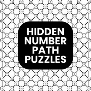 hidden number path puzzles.