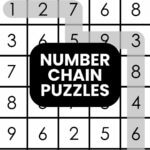 number chain puzzles.