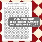 1-25 hidden number path puzzles.