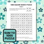 1000 square search math puzzles.