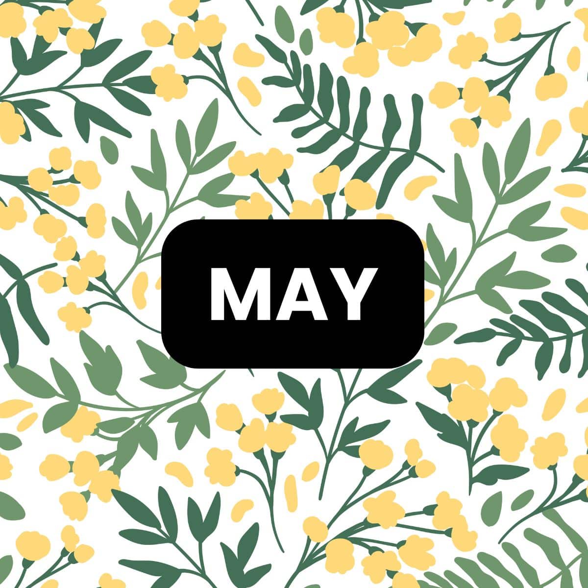 may puzzles and activities for the classroom.