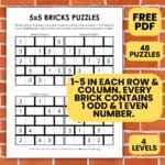 5x5 bricks logic puzzles.
