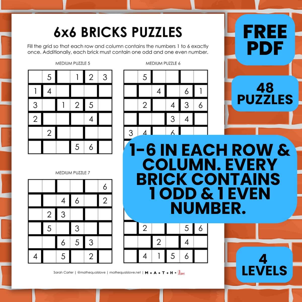 6x6 bricks logic puzzles.