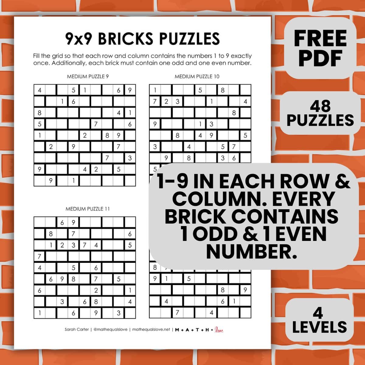 9x9 bricks logic puzzles.