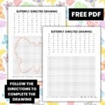 butterfly directed drawing worksheet activity.