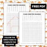 camel directed drawing activity worksheet.