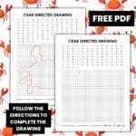 crab directed drawing worksheet for summer.