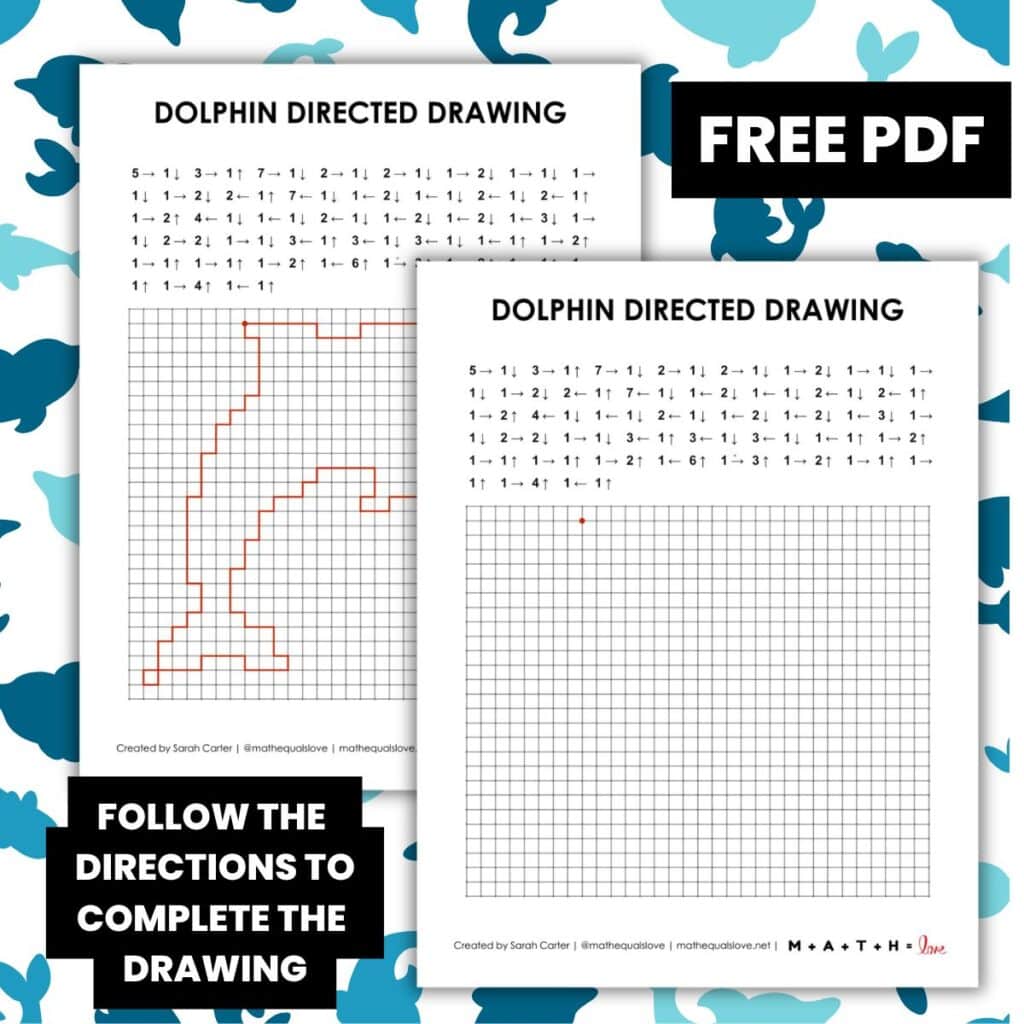 dolphin directed drawing worksheet activity.
