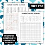 dolphin directed drawing worksheet activity.