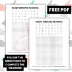 bunny rabbit directed drawing worksheet.