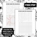 spider directed drawing worksheet for halloween activity.