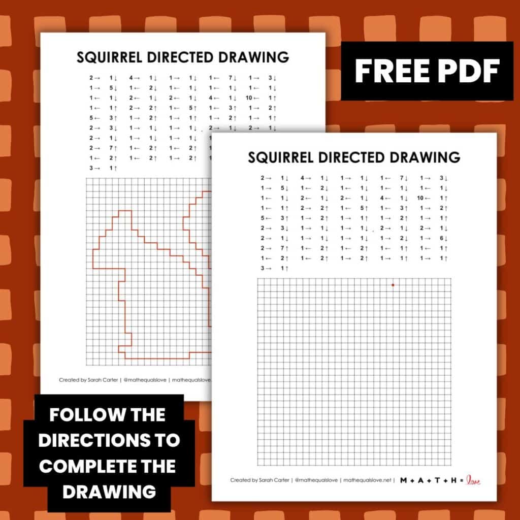 squirrel directed drawing worksheet.