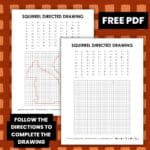 squirrel directed drawing worksheet.