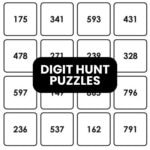digit hunt logic puzzles.