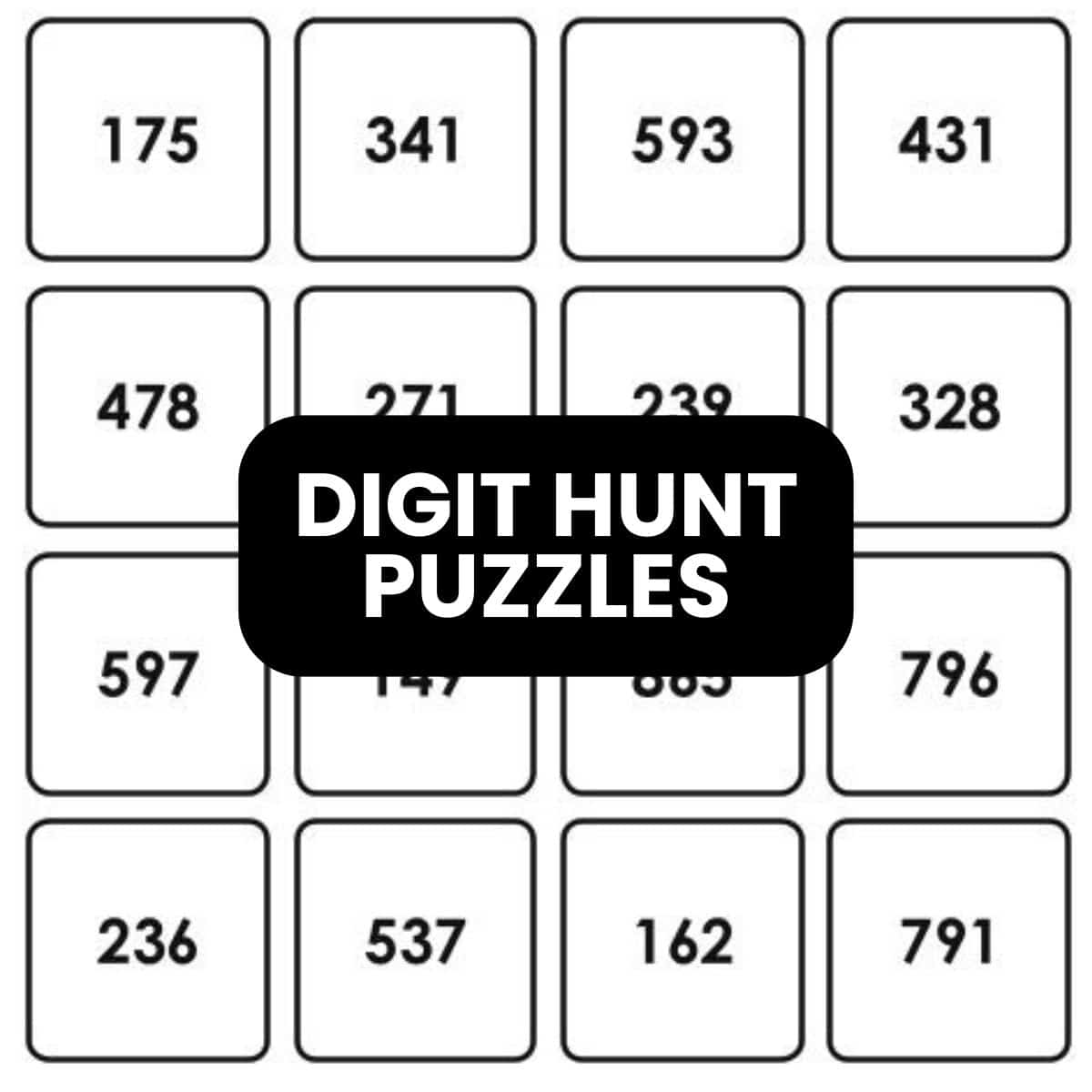 digit hunt logic puzzles.