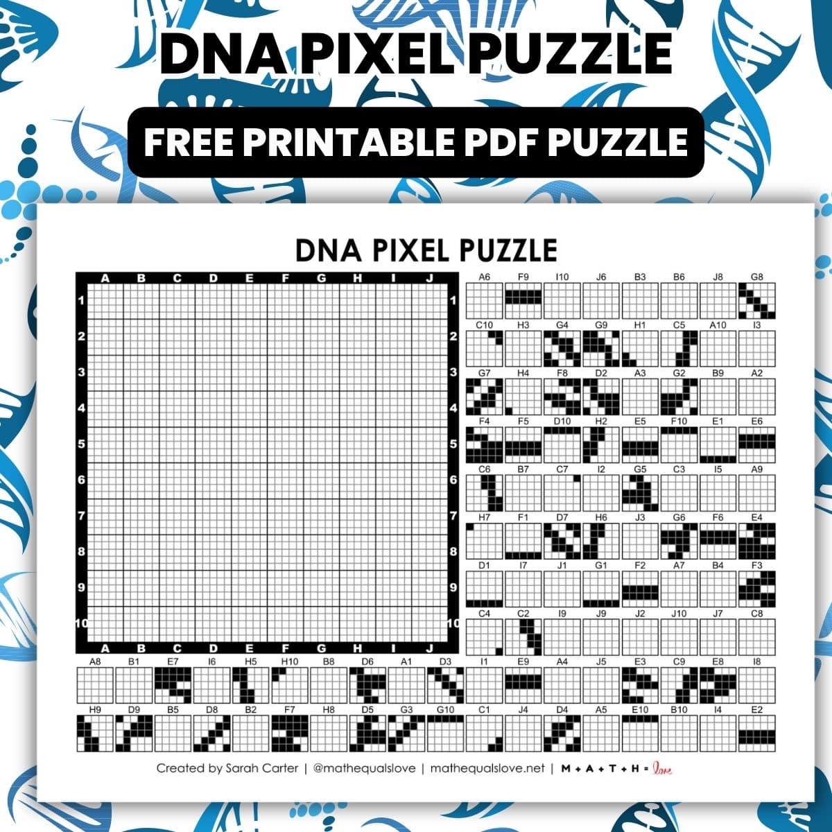 dna pixel puzzle worksheet.