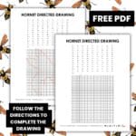 hornet directed drawing worksheet pdf.