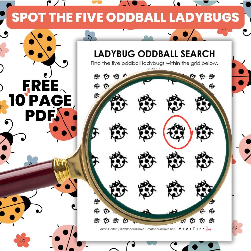 ladybug oddball search puzzle worksheets.