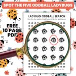 ladybug oddball search puzzle worksheets.