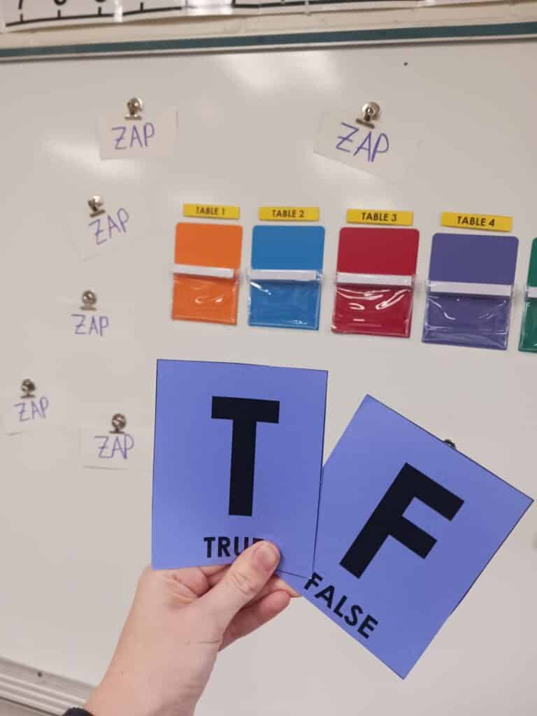 true false cards for classroom.